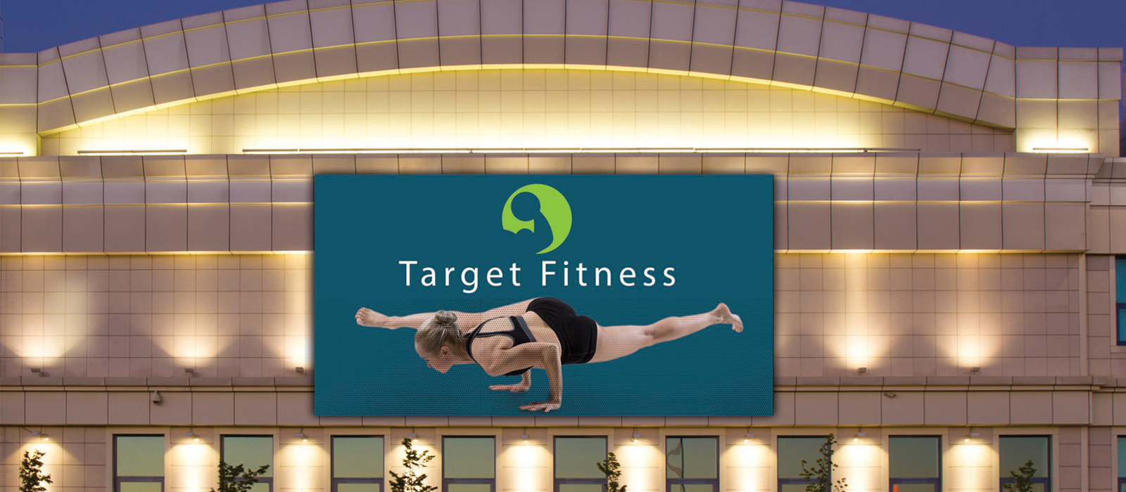 Direct View LED Ultimate Business Display