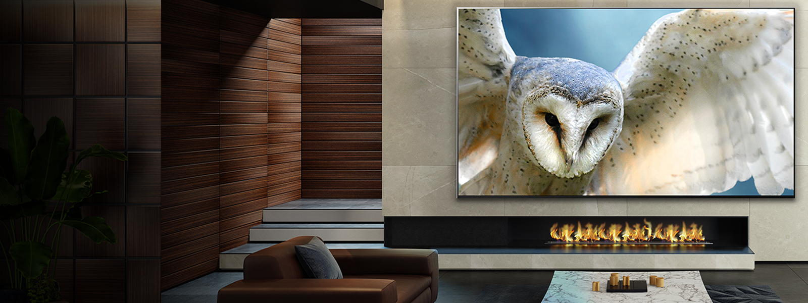 The World’s Largest OLED TV 