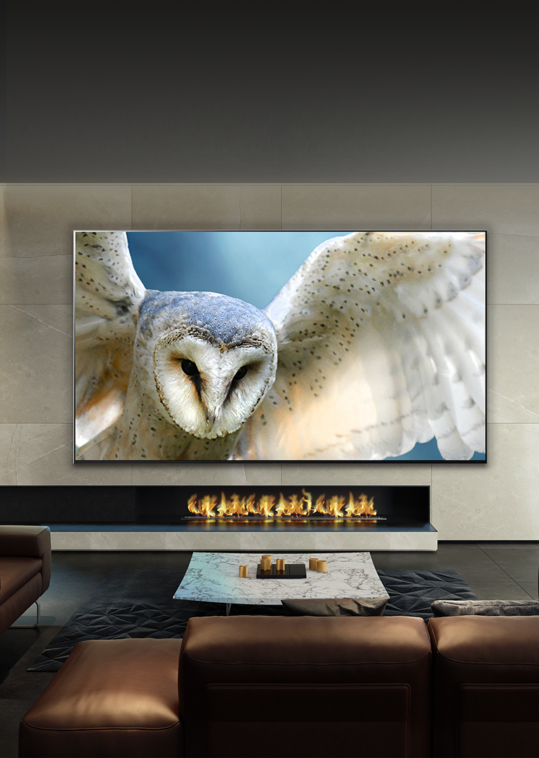 The World’s Largest OLED TV 