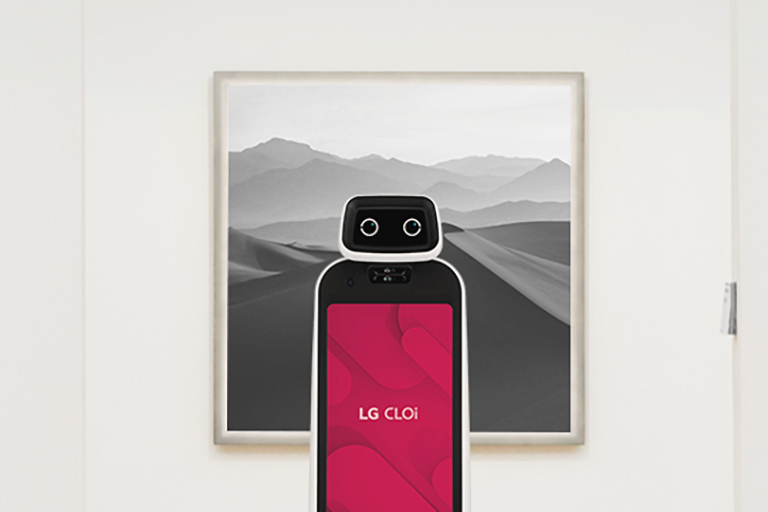 Robotic Solutions to Everyday Needs