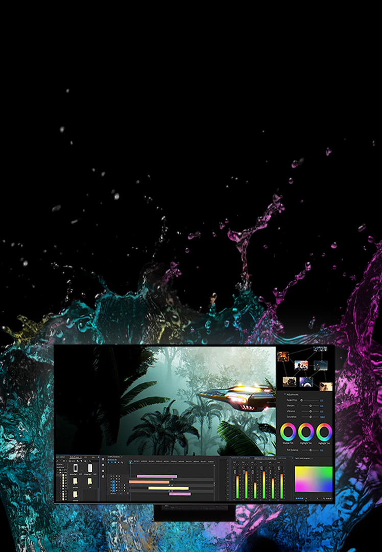 OLED Professional Display