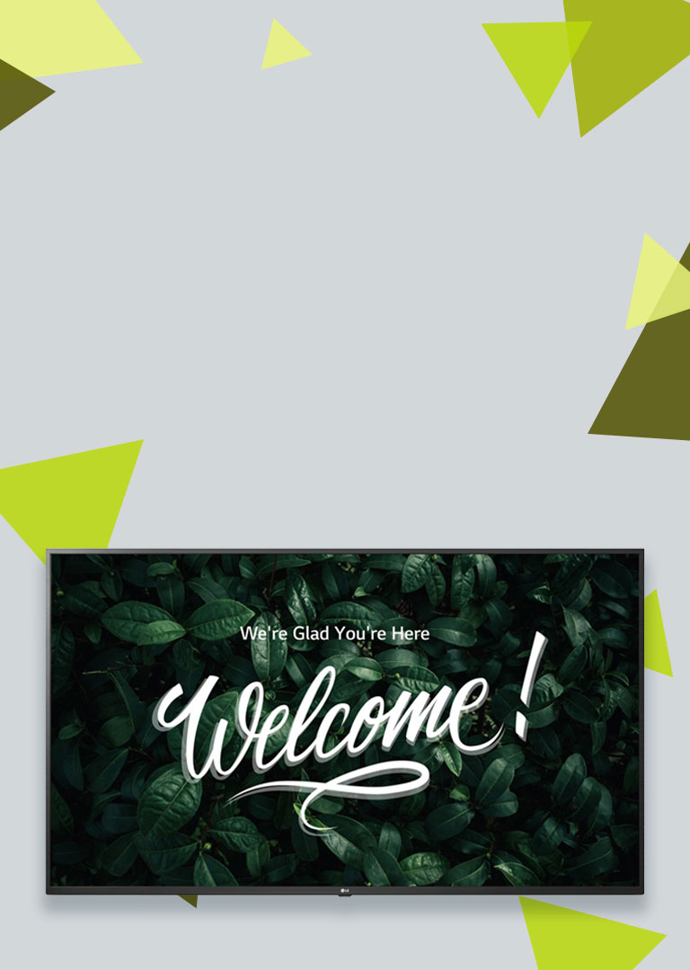 Wall display with graphics