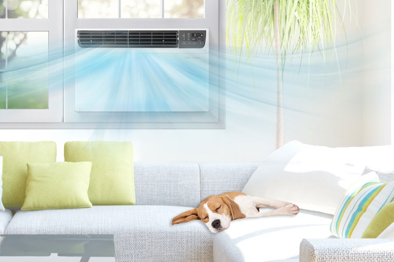 LG Window air conditioner in a living room with a dog on a couch