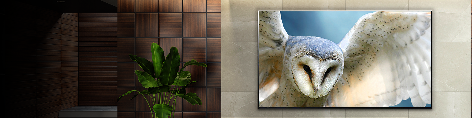 Explore Featured Products