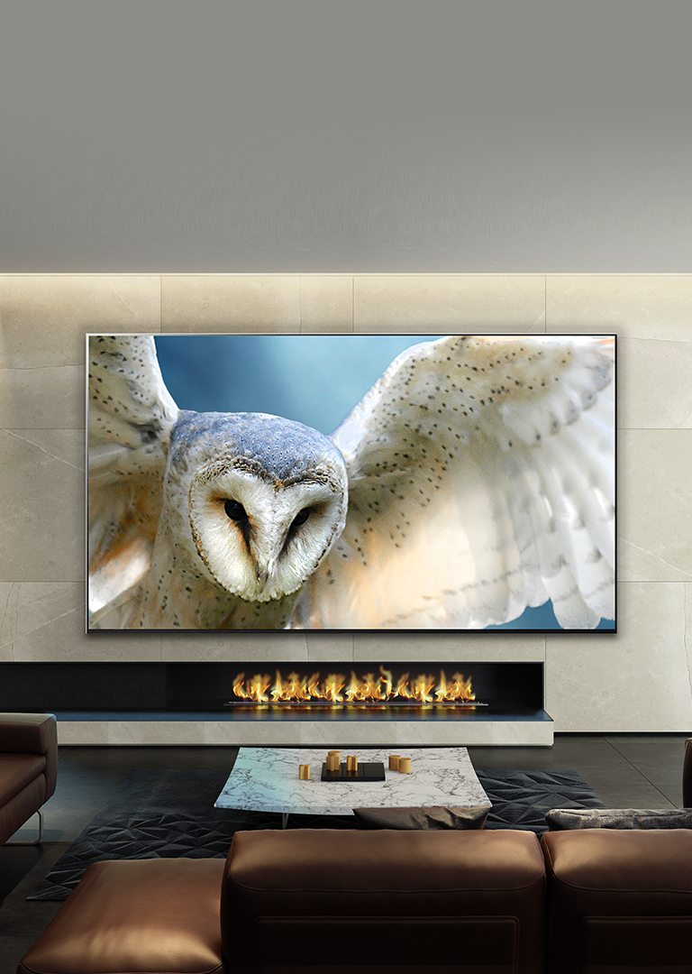Explore Featured Products