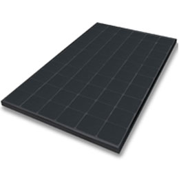 NeON_R_Prime_Carousel